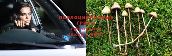 трава Армянск