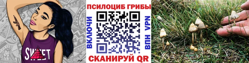 Псилоцибиновые грибы Psilocybine cubensis  Монино 